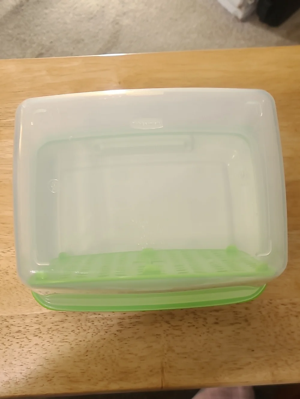 Airtight White and Green Food Storage Container with Drain Tray